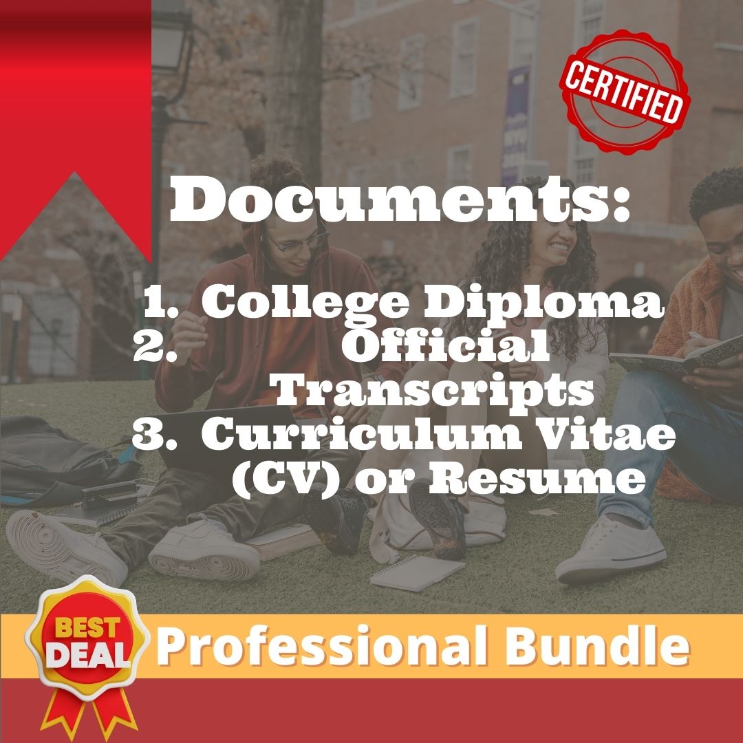 Professional Bundle